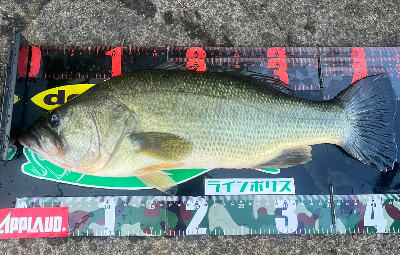 DAIWA 13ハートランド AGS 702MLRS-AGS14の最安値・インプレ DAIWA 13ハートランド AGS 702MLRS-AGS14の最安値・インプレ
