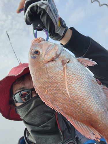 タイの釣果