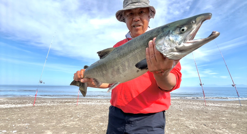 アキアジの釣果