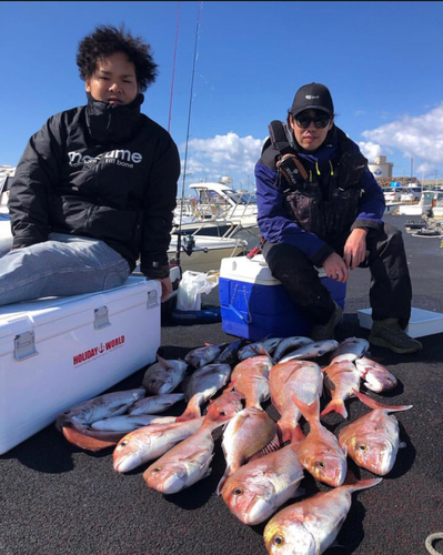 マダイの釣果