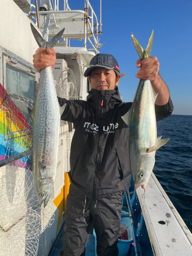 カンパチの釣果