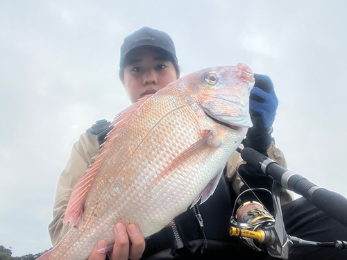 タイの釣果