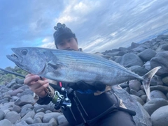 ハガツオの釣果