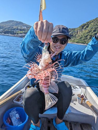 ミノカサゴの釣果