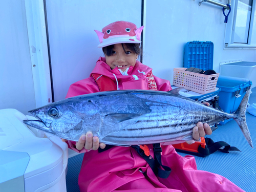 カツオの釣果