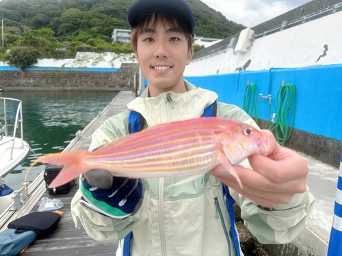 イトヨリダイの釣果