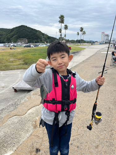 カワハギの釣果