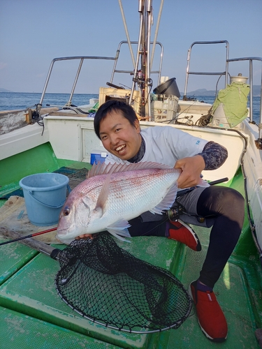 マダイの釣果