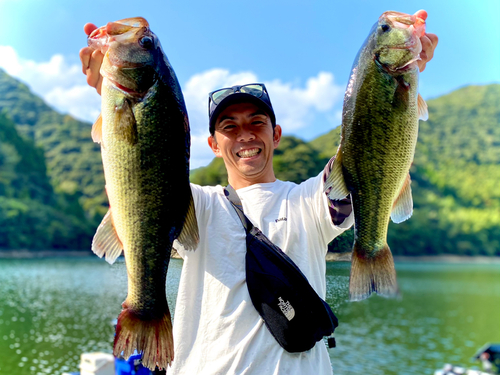 ブラックバスの釣果