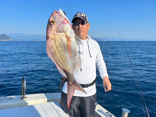 マダイの釣果