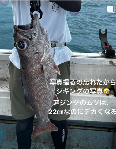 クロムツの釣果