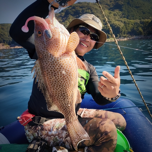 オオモンハタの釣果