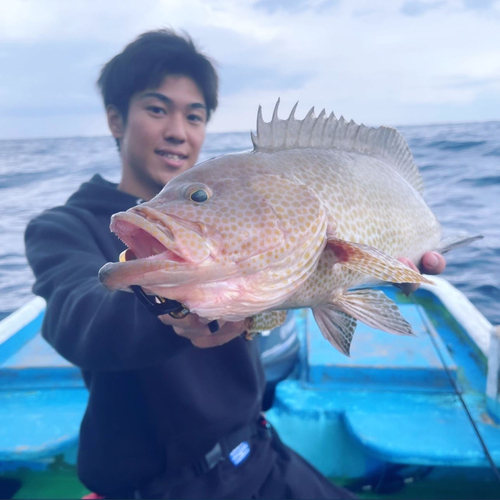 オオモンハタの釣果