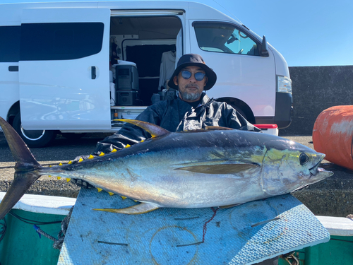 キハダマグロの釣果