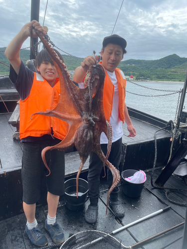 マダコの釣果