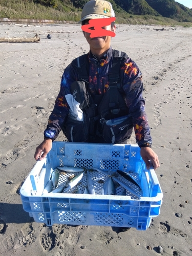 サバの釣果