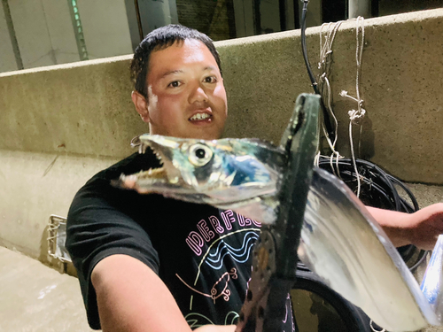 タチウオの釣果