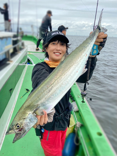 サワラの釣果