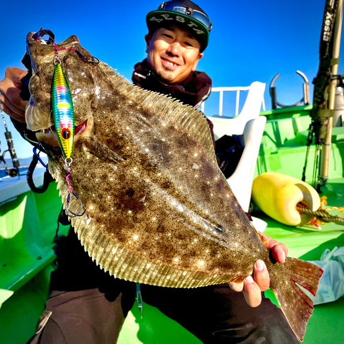 ヒラメの釣果