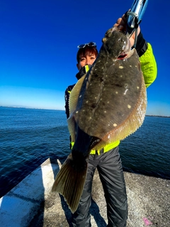 イシガレイの釣果