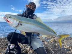 ヤズの釣果