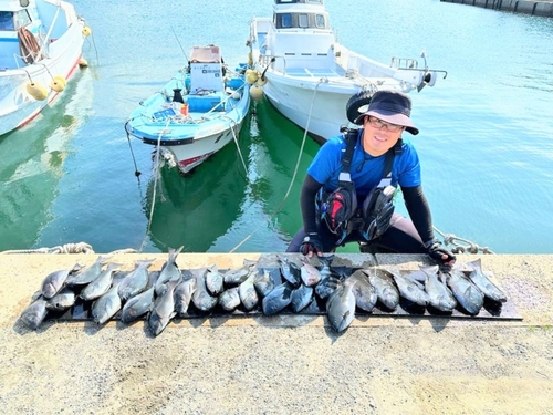 クロの釣果