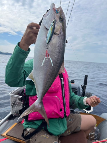 ネリゴの釣果