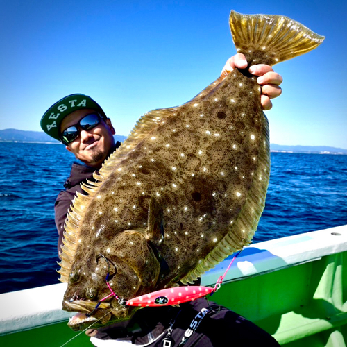 ヒラメの釣果