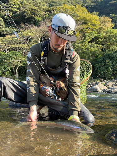 ニジマスの釣果