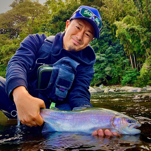 ホウライマスの釣果