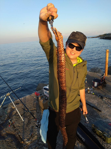 トラウツボの釣果