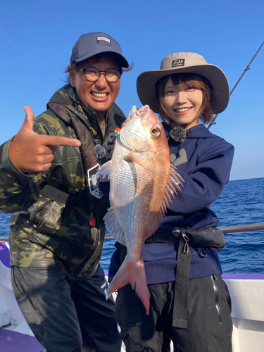 マダイの釣果