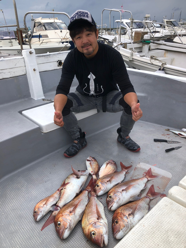 マダイの釣果