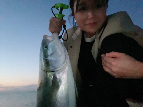 メジロの釣果