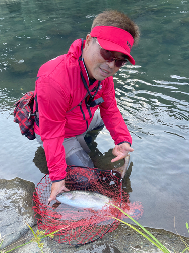 ニジマスの釣果