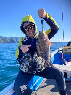 オオモンハタの釣果