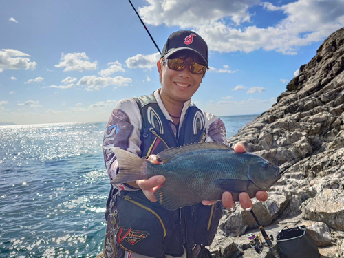 クチブトグレの釣果