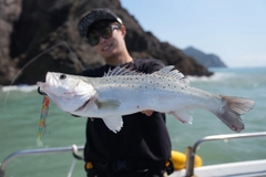 タイリクスズキの釣果