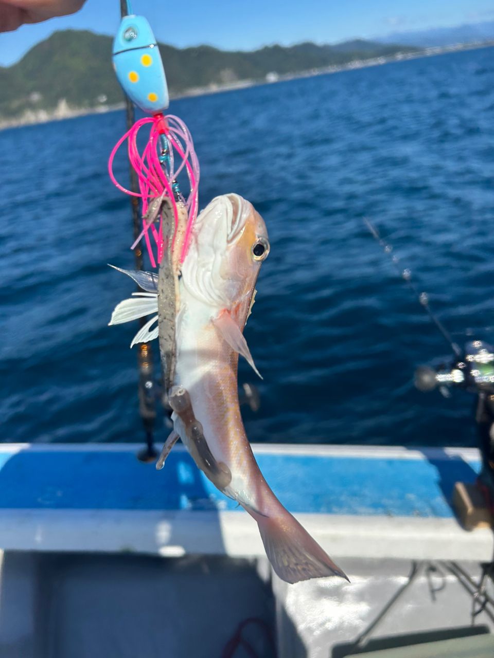 チャン5963さんの釣果 3枚目の画像