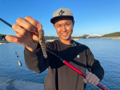 アカオビシマハゼの釣果