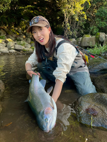 ホウライマスの釣果