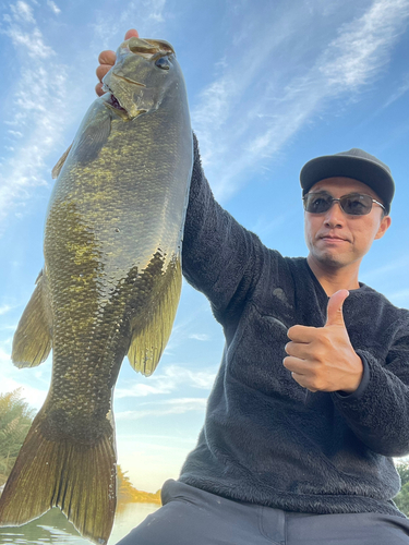 スモールマウスバスの釣果