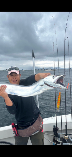 タチウオの釣果