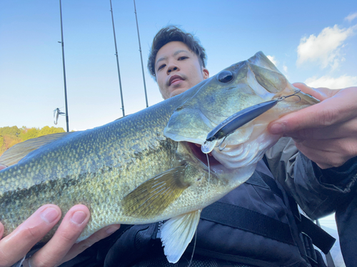 ブラックバスの釣果