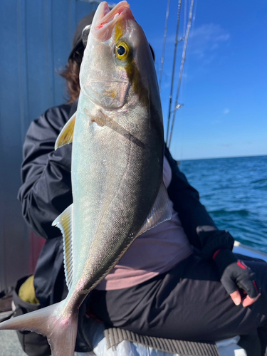 ネリゴの釣果