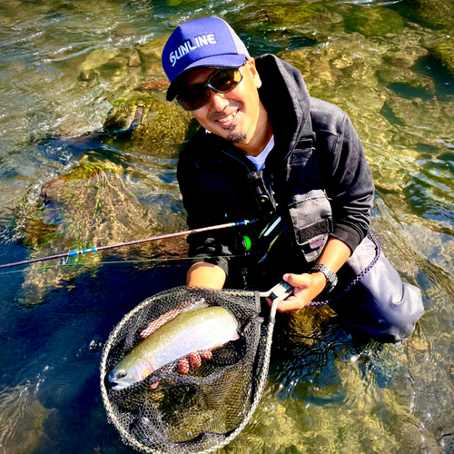 ホウライマスの釣果