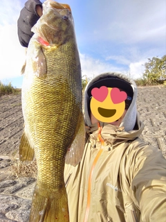 スモールマウスバスの釣果
