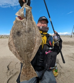 ヒラメの釣果