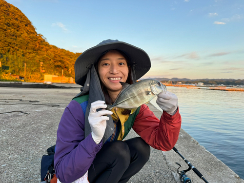 メッキの釣果