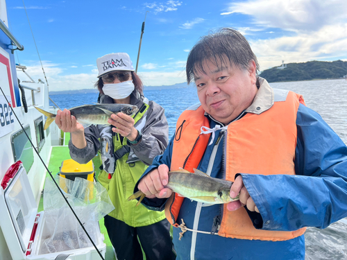 マアジの釣果